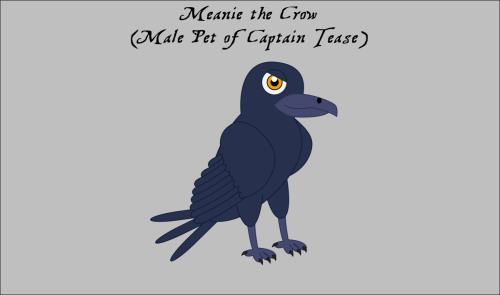 Meanie-Captain-Teases-Crow-bird