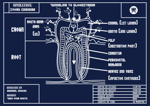 Tooth-Invasion-Blueprint-in-Kilometers-01