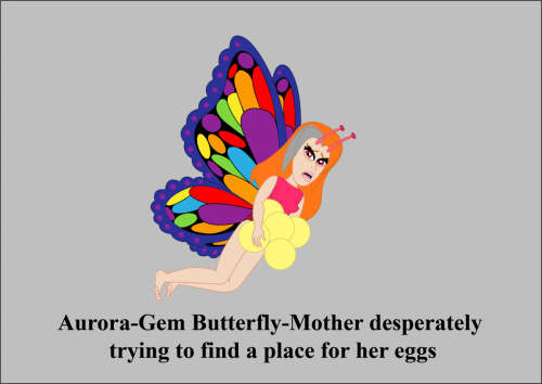 Aurora-Gem-Butterfly-Mother-desperately-trying-to-find-a-place-for-her-eggs
