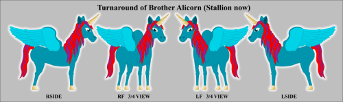 Turnaround-of-Brother-Alicorn-Stallion-now