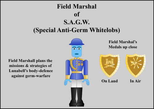 Field-Marshal-of-SAGW