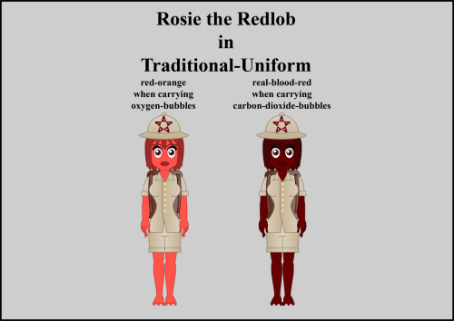 Rosie-the-Redlob-Traditional-uniform