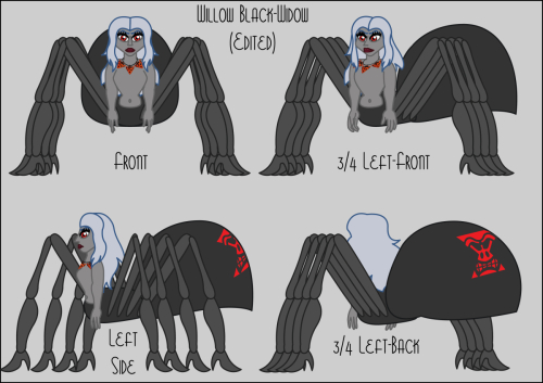 Willow-Black-Widow-Turntable